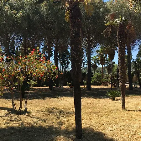 Casa vacanze Damigella Scapigliata *
