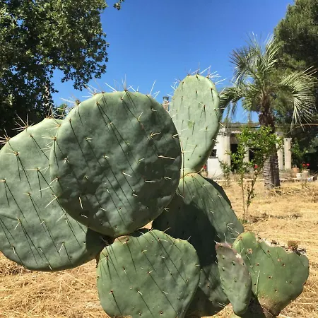 Damigella Scapigliata Casa vacanze *