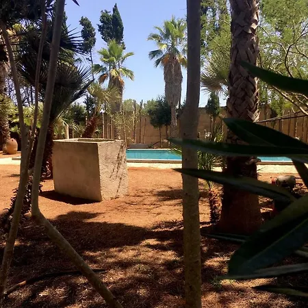 Damigella Scapigliata Casa vacanze Specchia